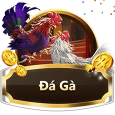 sản phẩm sanclub