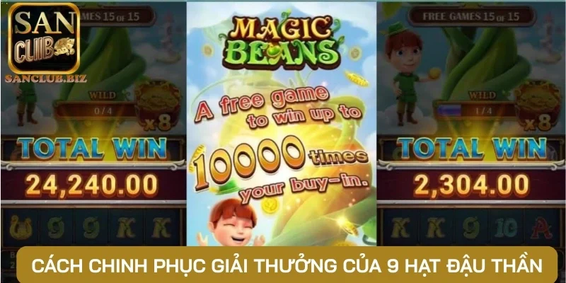 Cách chinh phục giải thưởng của 9 hạt đậu thần