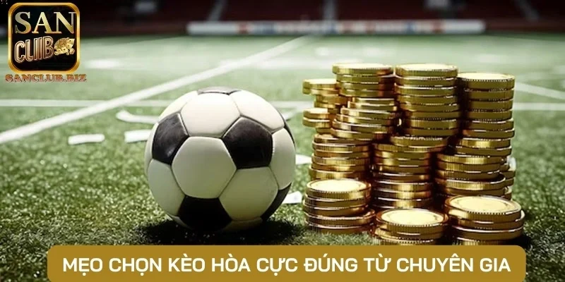 Mẹo chọn kèo hòa cực đúng từ chuyên gia